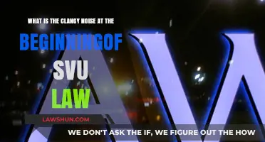 Unraveling the Clangy Noise Mystery at the Start of SVU Law
