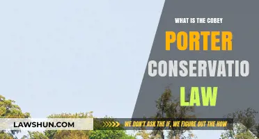 Understanding the Cobey Porter Conservation Law: Principles and Applications