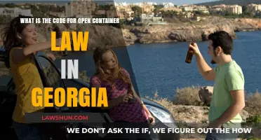 Understanding Georgia's Open Container Law: Code and Penalties Explained