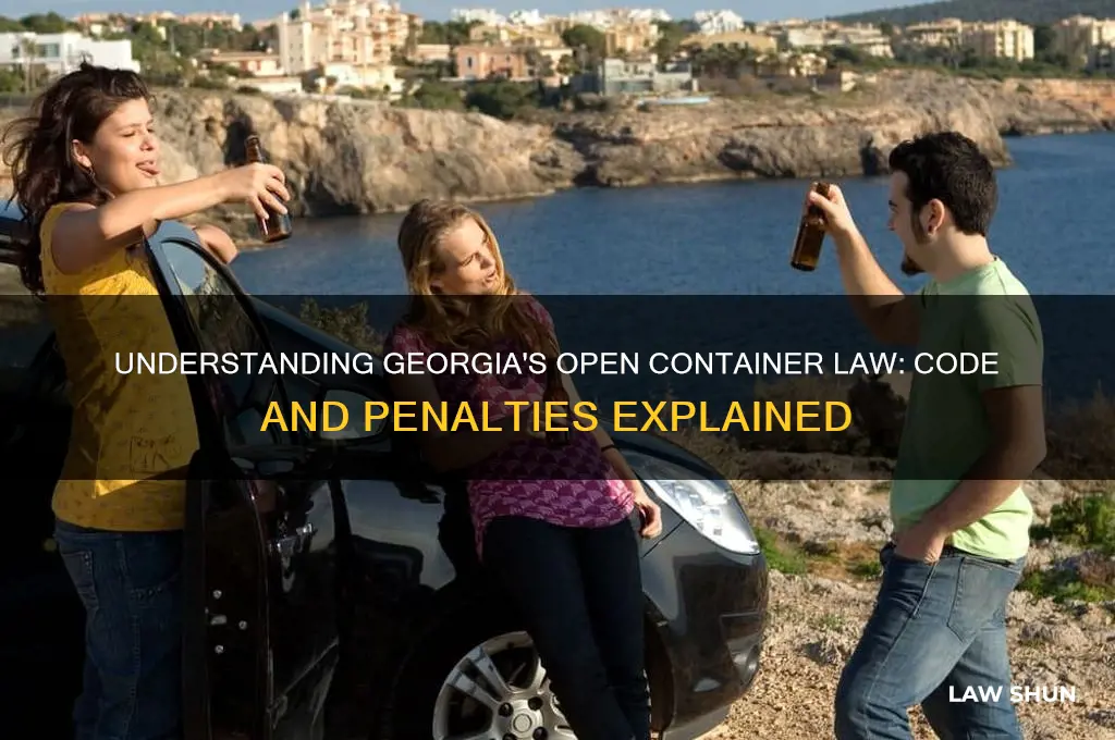 what is the code for open container law in georgia