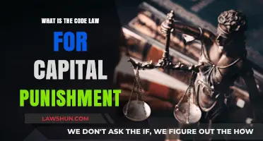 Understanding the Legal Code Governing Capital Punishment: A Comprehensive Overview