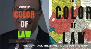 The Color of Law: Unraveling the Complexities of Justice and Race