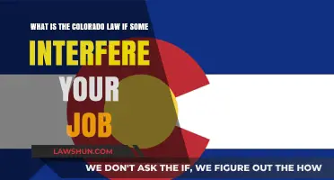 Colorado Employment Interference Laws: Protecting Your Job Rights