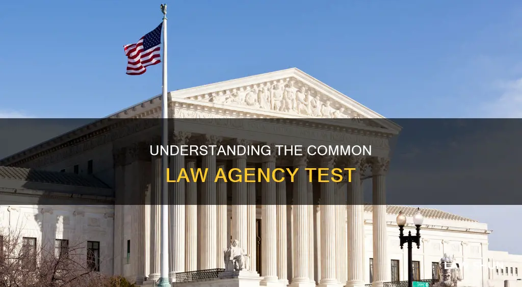 what is the common law agency test