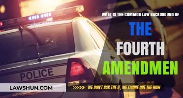 The Fourth Amendment: Common Law Roots