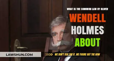 Understanding Common Law Through Oliver Wendell Holmes' Work