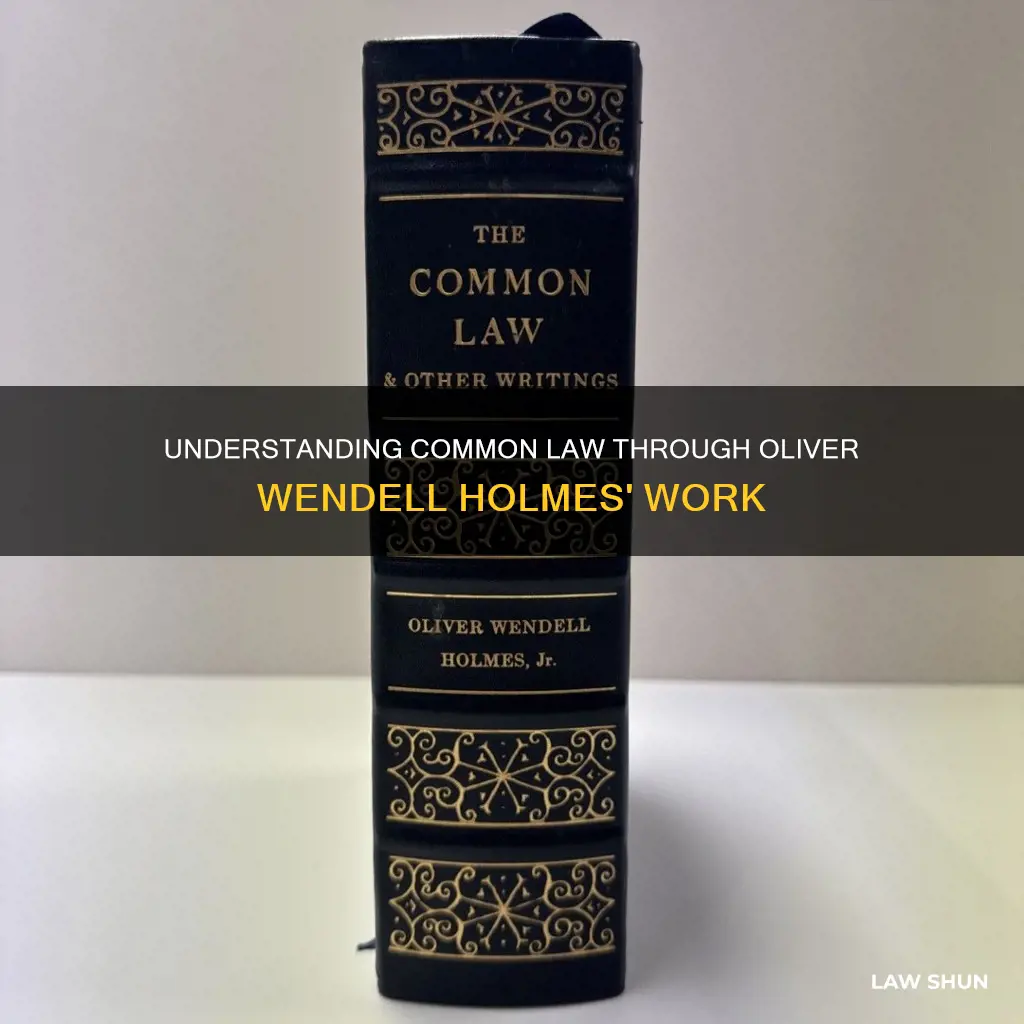 what is the common law by oliver wendell holmes about