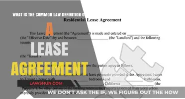 Lease Agreements: Common Law Definition Explained