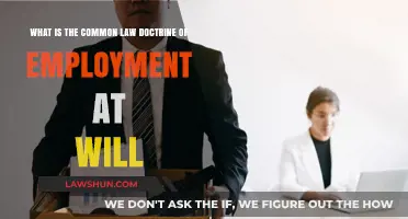 Understanding Employment At-Will Doctrine: Common Law Basics