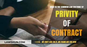 Understanding Privity of Contract: Common Law Doctrine