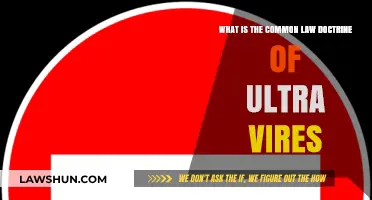 Understanding Ultra Vires: Common Law Doctrine Explained