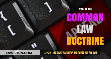 Understanding Common Law Doctrine: Principles and Practice