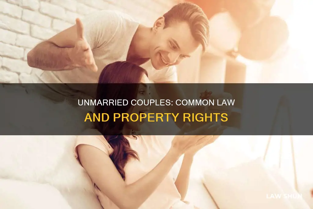 what is the common law for unmarried couples