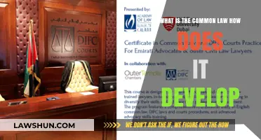 Common Law: How It Develops and Why
