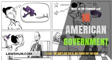 American Common Law: Understanding the Basics