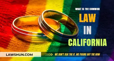 California's Common Law: What You Need to Know
