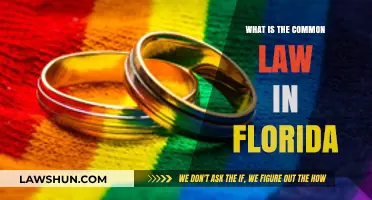 Florida's Common Law System: What You Need to Know