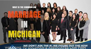 Marriage Laws in Michigan: Common Law Explained