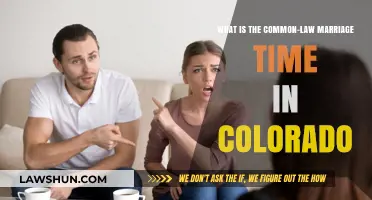 Understanding Colorado's Common-Law Marriage Requirements