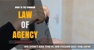 Understanding the Law of Agency in Common Law