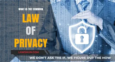 Privacy Rights: Common Law Explained