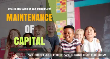 Understanding the Maintenance of Capital Principle in Common Law