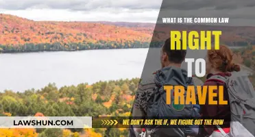 Travel Rights: Understanding Common Law