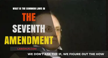 Understanding Seventh Amendment Common Law Rights