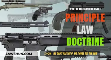 Common Usage Principle: Law Doctrine Fundamentals