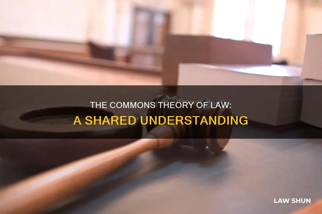 what is the commons theory of law