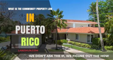 Understanding Puerto Rico's Community Property Law: Key Insights and Implications