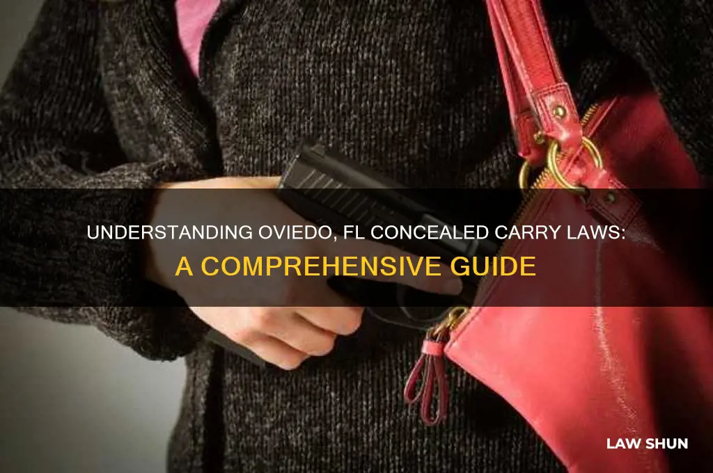 what is the concealed carry law in oviedo fl
