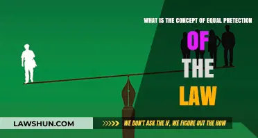 Understanding Equal Protection: The Legal Principle Ensuring Fairness for All