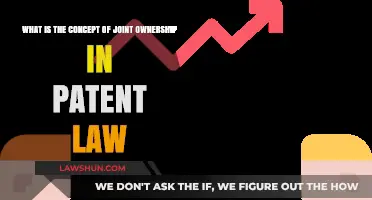 Understanding Joint Ownership in Patent Law: Rights, Responsibilities, and Risks