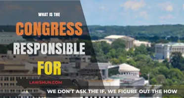 Understanding Congressional Responsibilities: A Comprehensive Guide