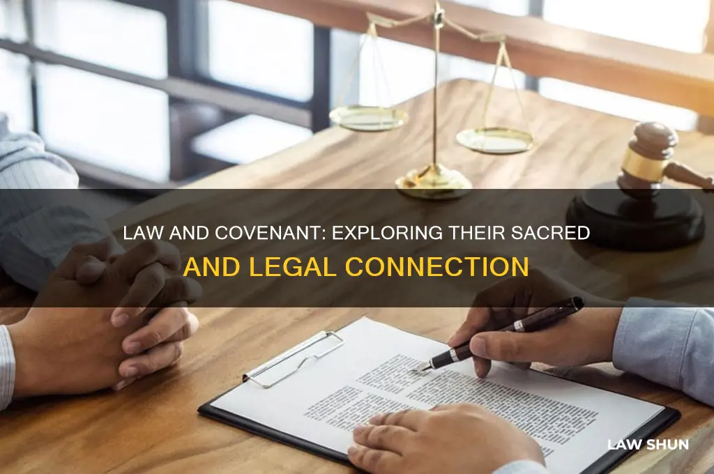 what is the connection between the law and the covenant