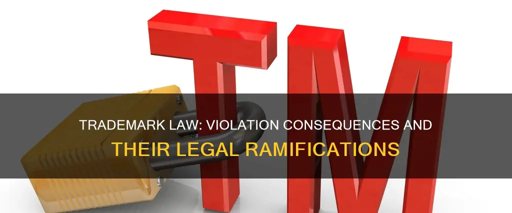 what is the consequence of breaking the trade mark law