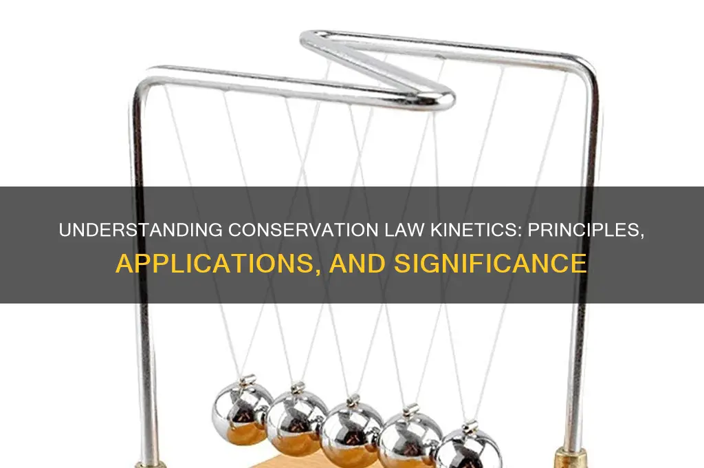 what is the conservation law kinetics