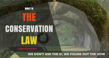 Understanding Conservation Laws: Principles, Applications, and Real-World Significance