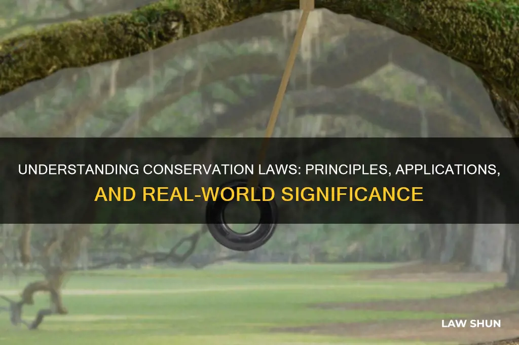 what is the conservation law