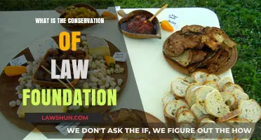 Understanding the Conservation of Law Foundation: Purpose, Impact, and Initiatives