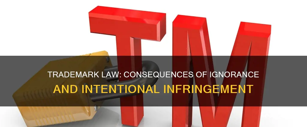 what is the consiqens eof trademark law a breaking it