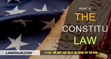 The Fundamentals of Constitutional Law