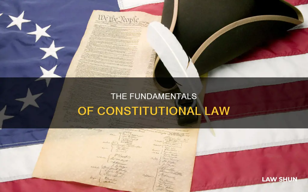 what is the constitute law