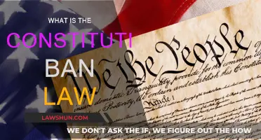 Understanding Constitutional Bans: Law and Order