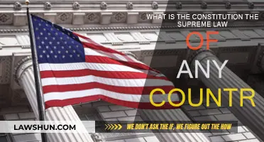 The Constitution: Supreme Law of the Land