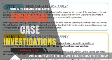 Criminal Investigations: Constitutional Law Essentials