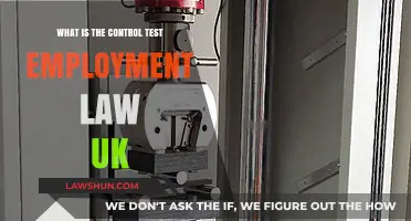 Understanding Control Tests: UK Employment Law
