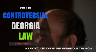Georgia's New Law: Understanding the Controversy and Its Impact