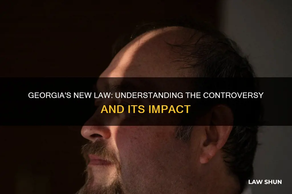 what is the controversial georgia law